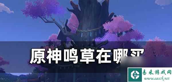 原神：如何解锁神秘歌声——尘歌壶？