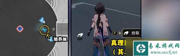 崩坏：星穹铁道禁闭舱段隐藏成就有哪些