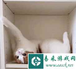 如果你老婆有四只手会怎样 动图 这个建议加入GTA6！