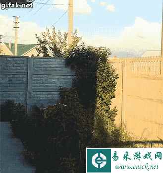 看熟练度不是第一次了 动图 掉下去会再被传送到上面