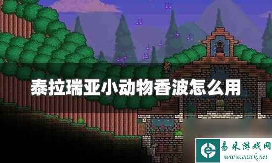 泰拉瑞亚的动物香波怎么用 泰拉瑞亚小动物香波怎么制作