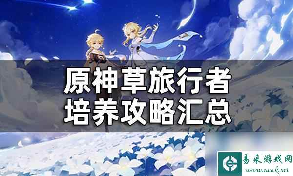 原神草主带什么武器和圣遗物 草旅行者圣遗物推荐