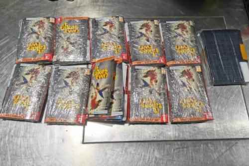 /news/2024/03-25/299028.shtml