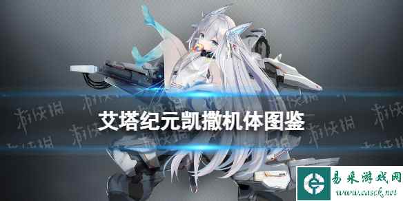 网1
