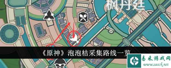 《原神》泡泡桔采集路线一览