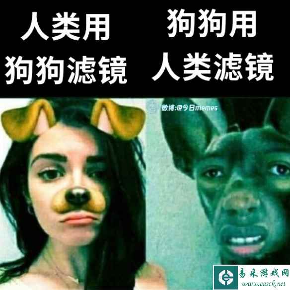 有可能根本不是一个物种 囧图 我看你是被猪油蒙了心