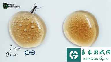 不可以！那里不可以嗦！动图 这冰淇淋怎么又甜又咸