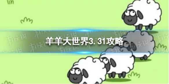 网1