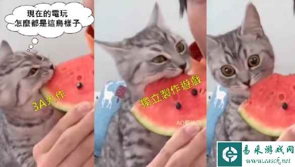 3A大作寡淡无味独立游戏全是神作 囧图 想回家玩游戏