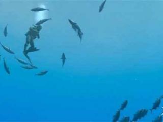 海洋探索游戏《永恒蔚蓝流光》宣传片公布 5月2日发售