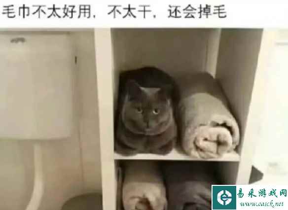 在女朋友包里发现的,这是什么？囧图 带强的都是狠人