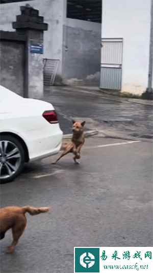 老乡：你要的加长扩容弹夹 动图 在哪摔倒就在哪睡觉