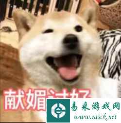 领导：“盛这么多饭，你喂猪呢?”盘点 6 种神回复！