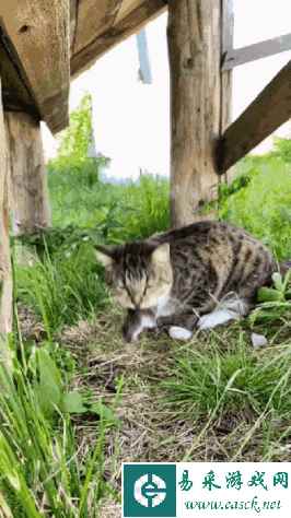 和妹子摔跤是很性福的事 动图这臀部形状也太好了吧！