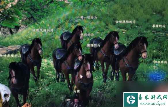 《下一站江湖2》马匹获取方法