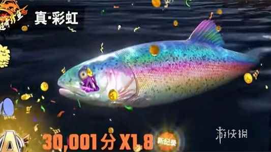 网5