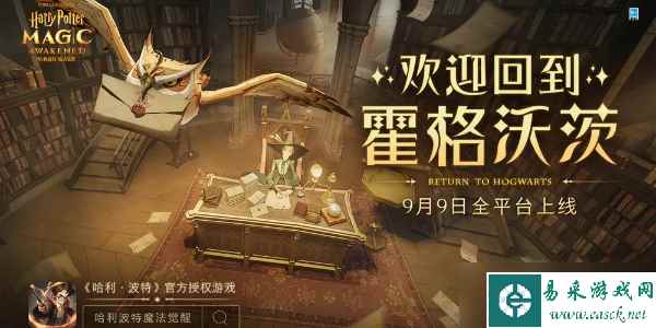 哈利波特魔法觉醒兑换码大全