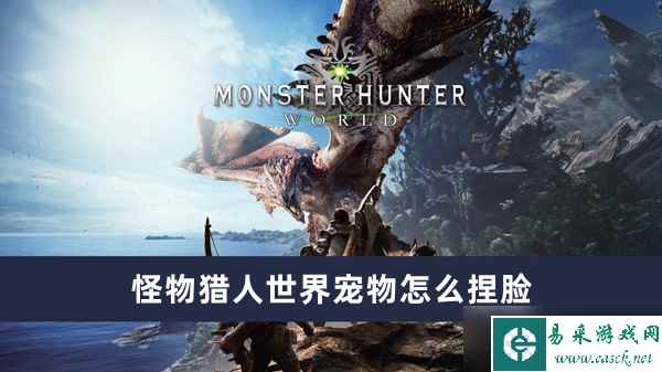 怪物猎人世界宠物怎么捏脸 宠物捏脸教程一览