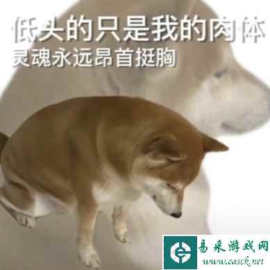 领导：“你没资格给我敬酒” 盘点 5 种情商逆天回复