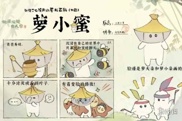 网10