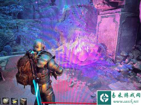 遗迹2DLC2的花有什么用 失落的王国花作用介绍