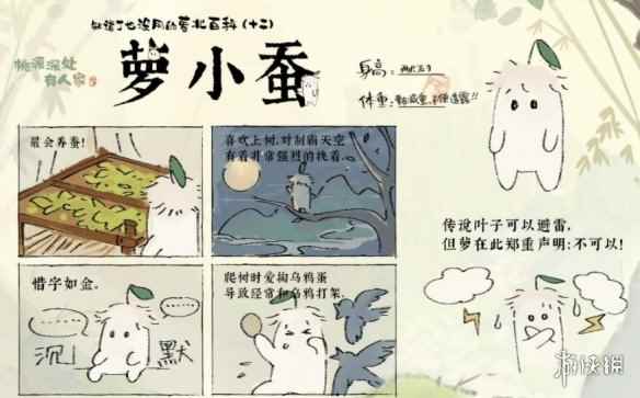 网16