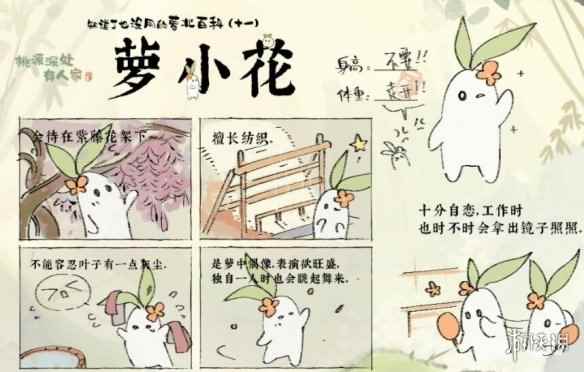 网7