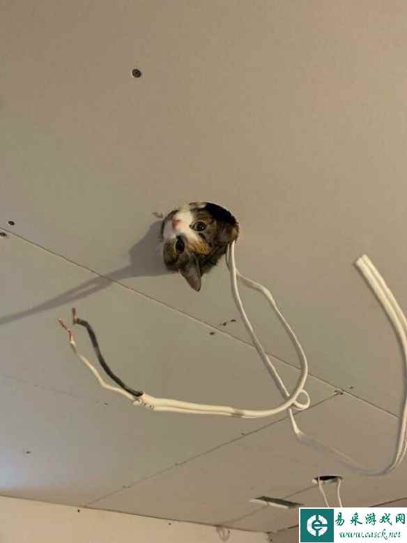 你口味这么重吗 囧图 这个姿势是会拉到座圈上的吧