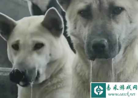 同事：“吃慢点，没人跟你抢” 盘点 5种情商逆天回复