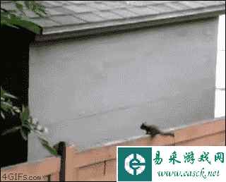 他的牛子有火腿味 动图 我不懂意大利语但我懂男人