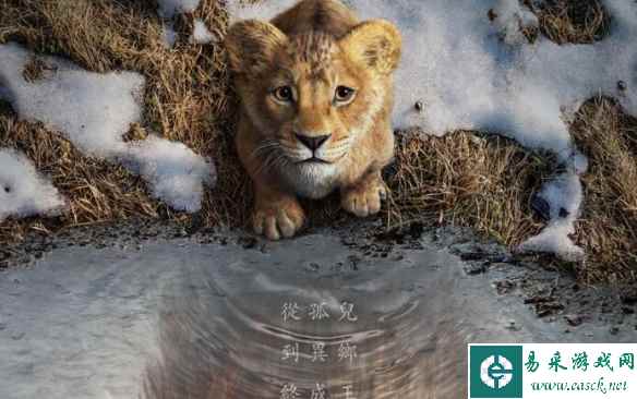 《狮子王:木法沙》迪士尼释出前导预告 12月在台上映