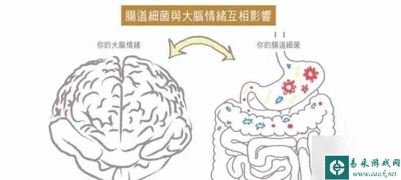 《人体工厂》咀嚼车间通关技巧大揭秘（游戏攻略带你玩转咀嚼车间）