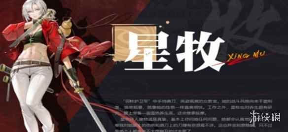 网4