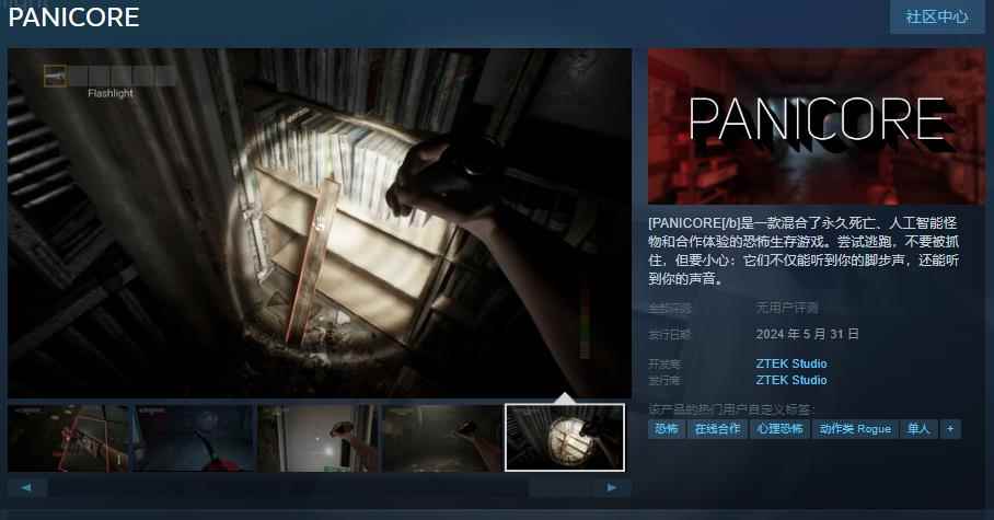 合作恐怖生存游戏《PANICORE》发售日正式公布 将于5月31日发售