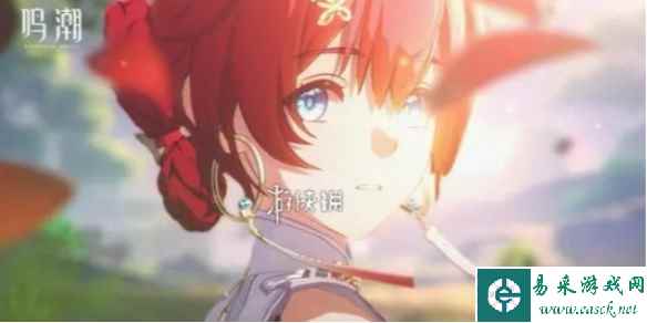 网1