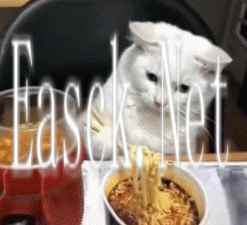 才几日不见，AI做的视频就已经“究极进化”成这样了？