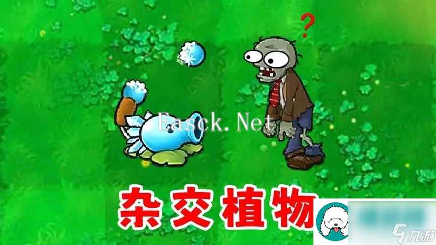 植物大战僵尸杂交版坚果存钱罐怎么样-植物大战僵尸杂交版坚果存钱罐介绍一览