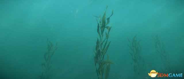 /news/2024/07-18/373755.shtml