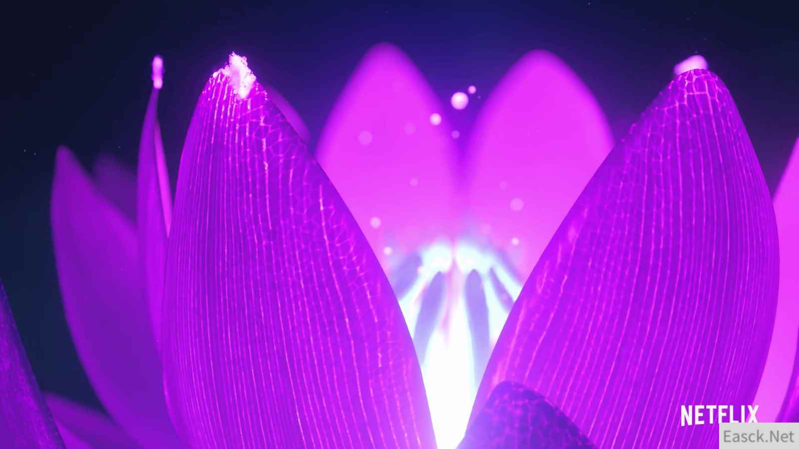 /news/2024/07-21/391062.shtml