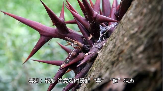 盗墓长生印秦始皇陵攻略