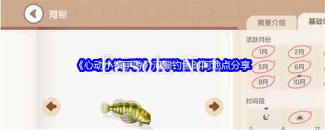 《心动小镇手游》河鳚钓鱼时间地点分享