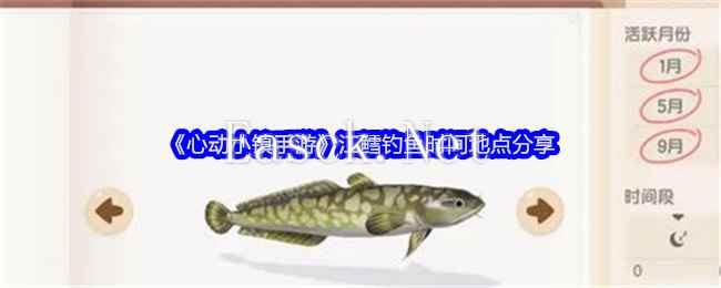 《心动小镇手游》江鳕钓鱼时间地点分享