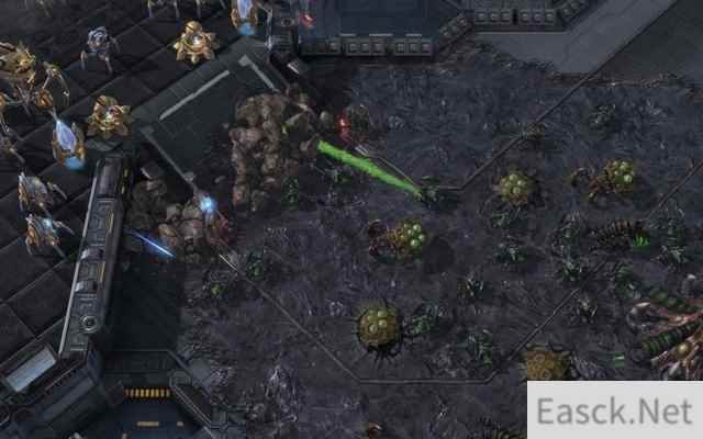 /news/2024/08-05/428403.shtml