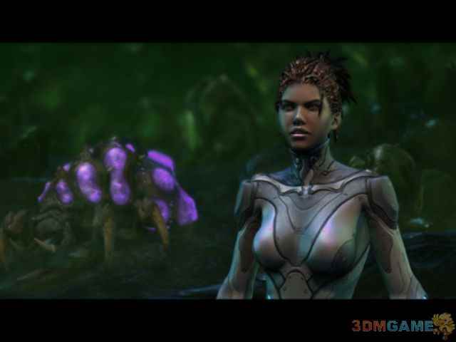 /news/2024/08-05/428439.shtml