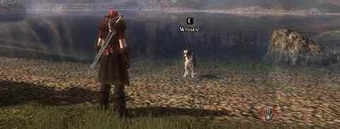 /news/2024/08-15/437621.shtml