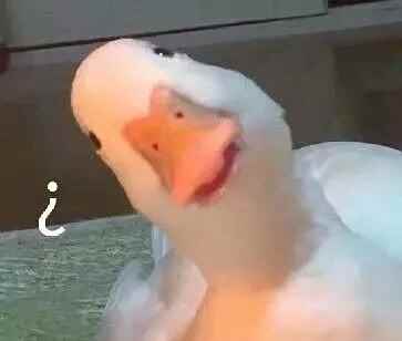 逆水寒首只战斗宠物上线，战斗力玩家表示服气