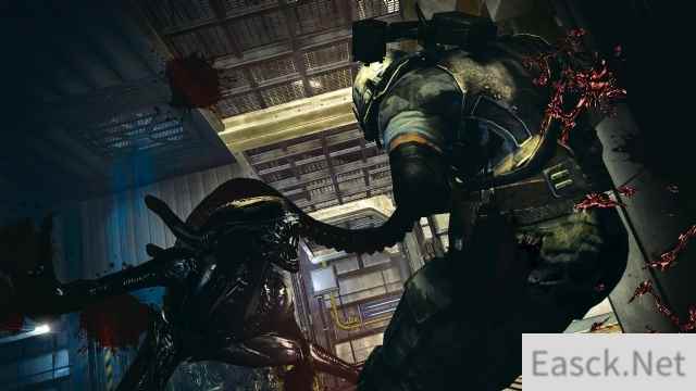 /news/2024/08-28/448005.shtml