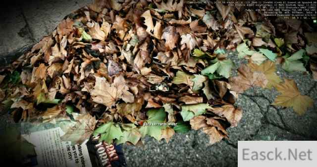 /news/2024/09-09/466244.shtml