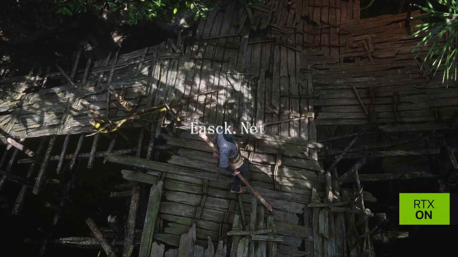 /hardware/2024/09-19/506464.shtml