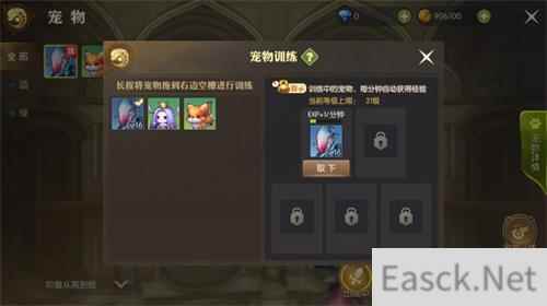 龙之谷2宠物获取及培养攻略
